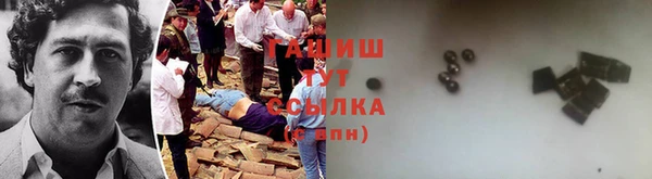 гашик Алексин