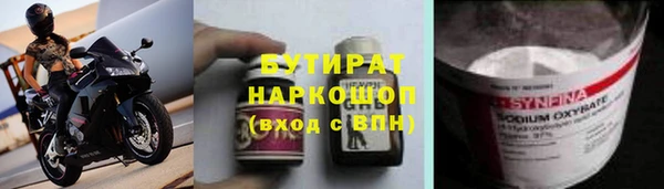 гашик Алексин