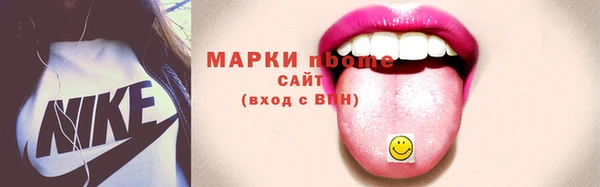 гашик Алексин